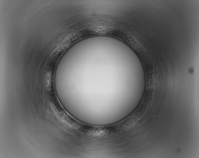 X0000115800646200911271252