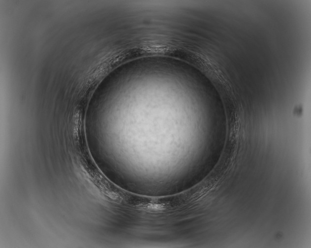 X0000115800647200911271252