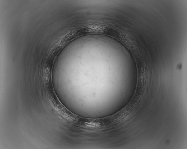 X0000115800649200911271252