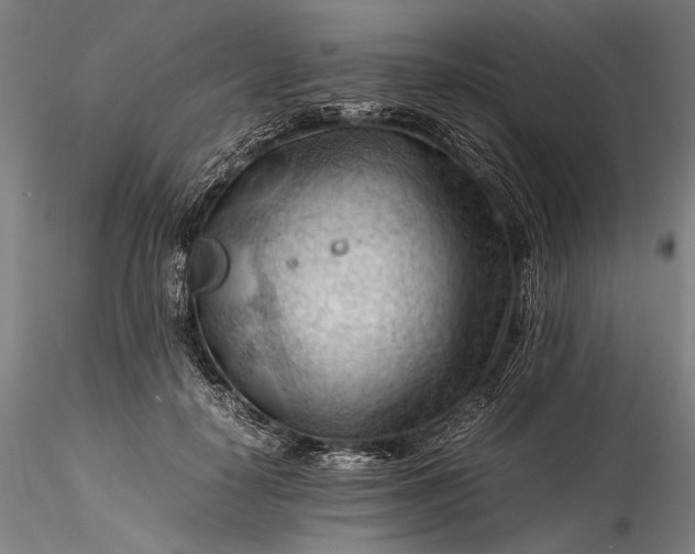 X0000115800650200911271252