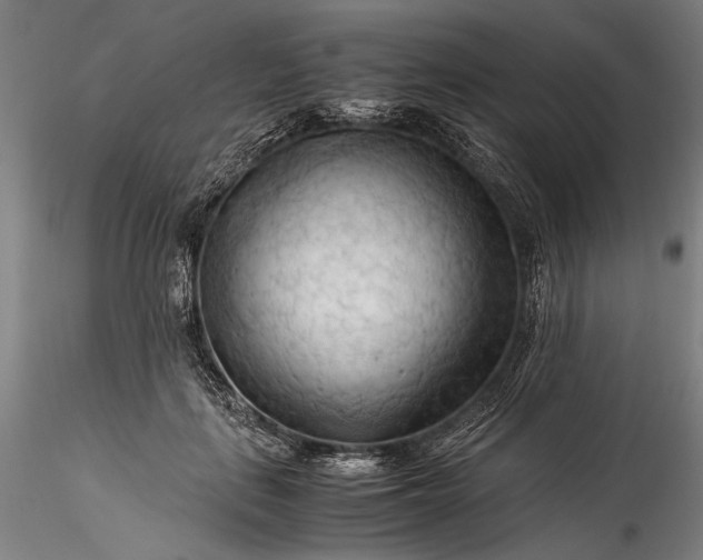 X0000115800651200911271252