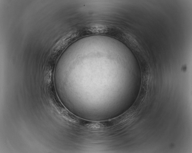 X0000115800652200911271252