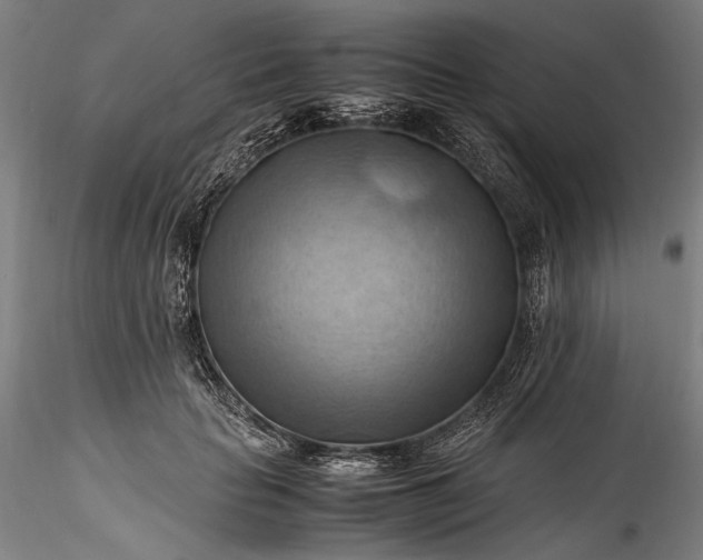 X0000115800653200911271252