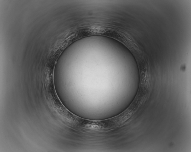 X0000115800655200911271252