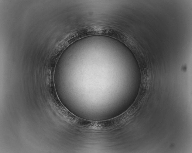 X0000115800656200911271252