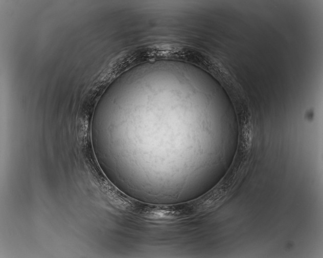 X0000115800657200911271252