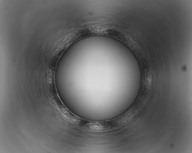 X0000115800658200911271252