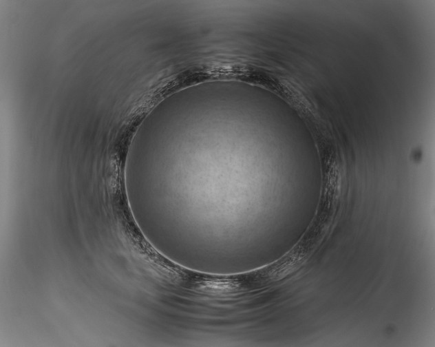 X0000115800659200911271252