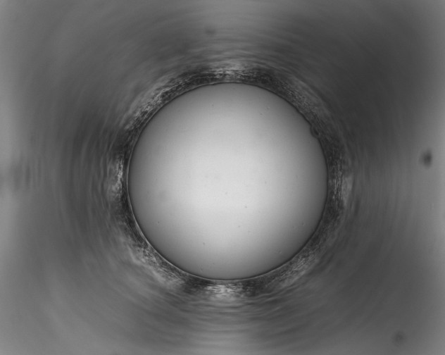 X0000115800660200911271252