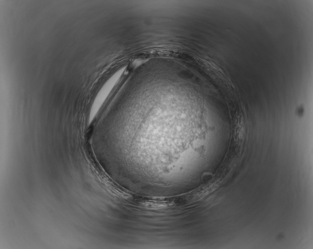 X0000115800661200911271252