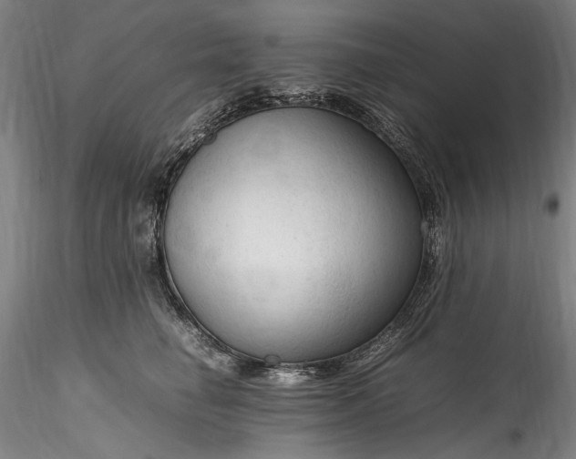 X0000115800662200911271252