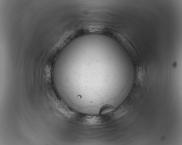 X0000115800667200911271252