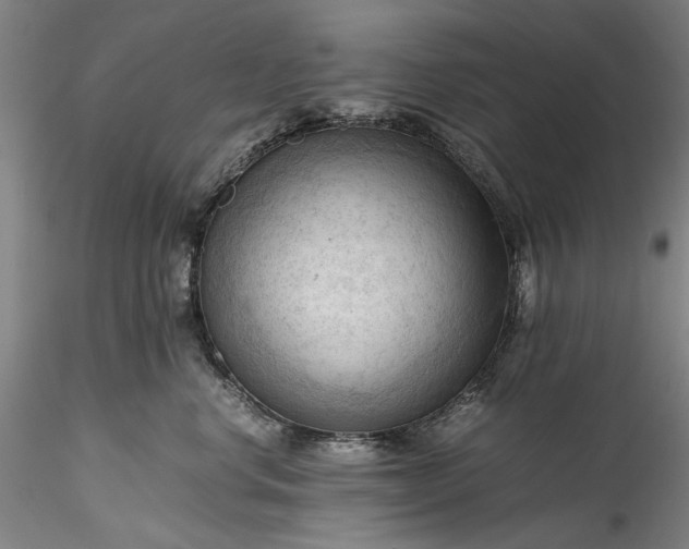 X0000115800668200911271252