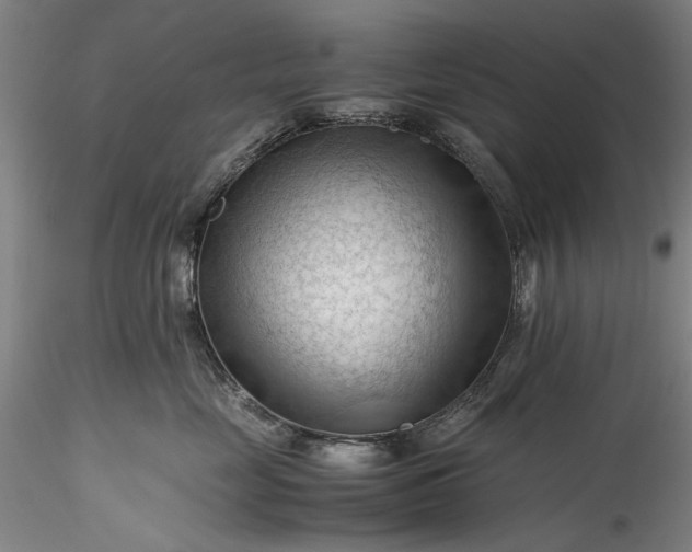 X0000115800669200911271252