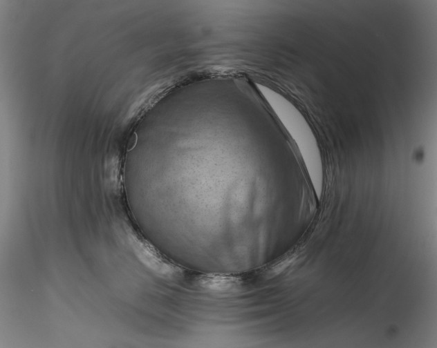 X0000115800670200911271252