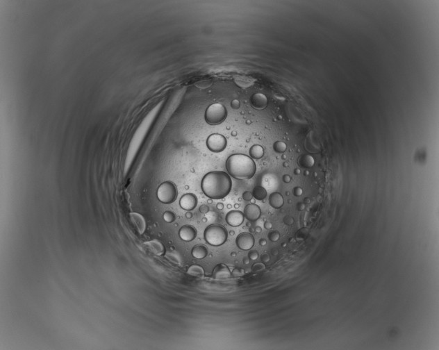 X0000115800671200911271252