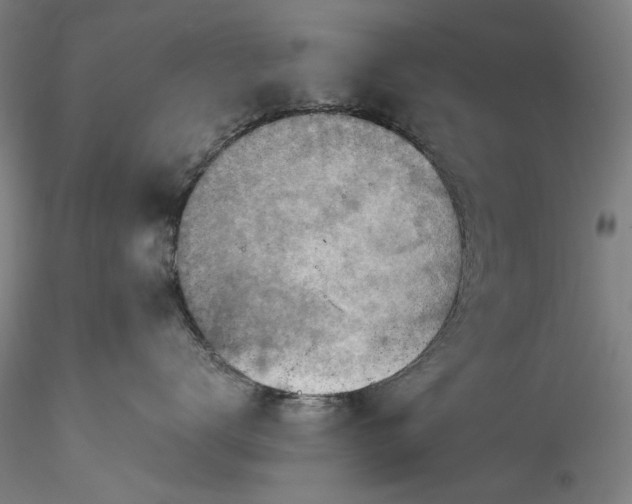 X0000115800672200911271252