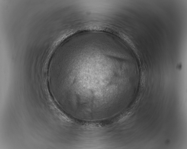 X0000115800673200911271251