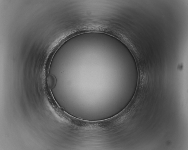 X0000115800674200911271251