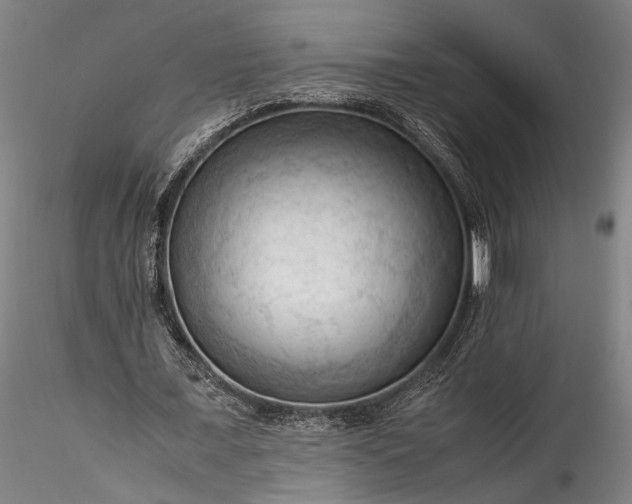 X0000115800675200911271251