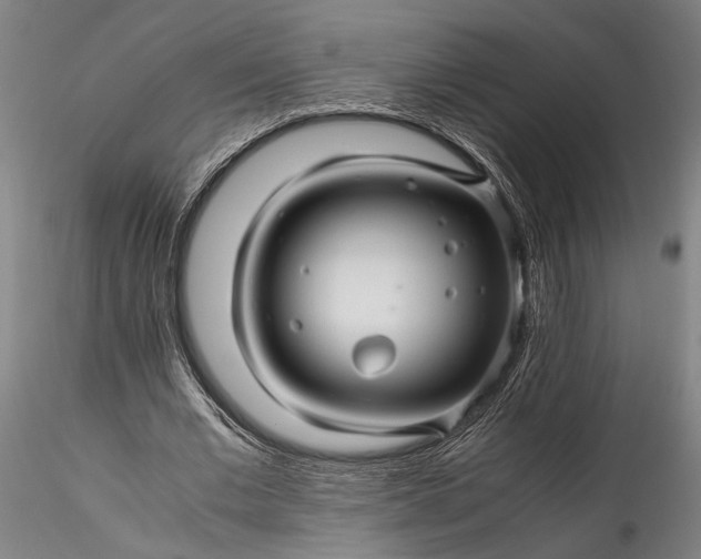 X0000115800677200911271251