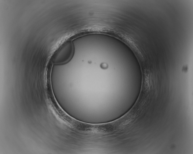 X0000115800678200911271251