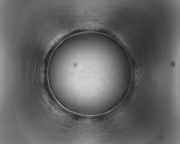 X0000115800679200911271251