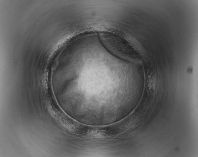 X0000115800680200911271251