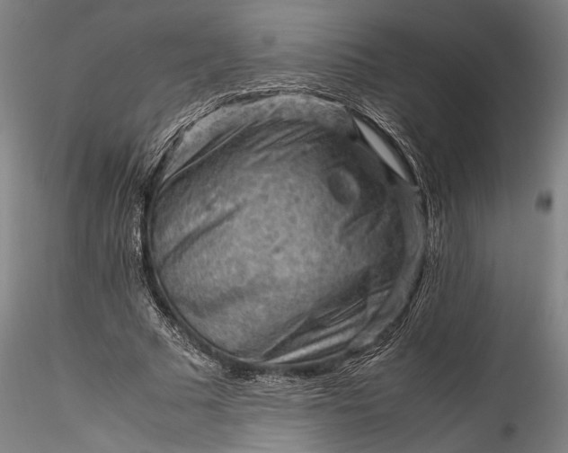 X0000115800681200911271251