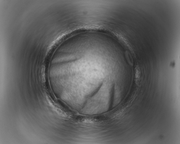 X0000115800684200911271251