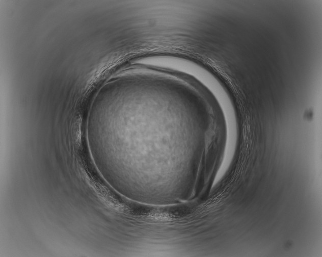 X0000115800685200911271251