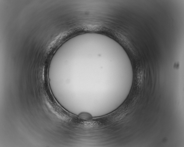 X0000115800686200911271251