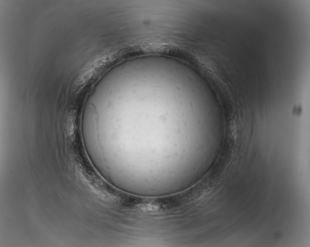 X0000115800687200911271251