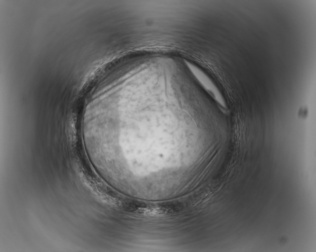 X0000115800688200911271251