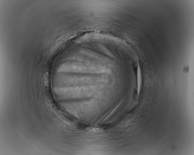 X0000115800689200911271251