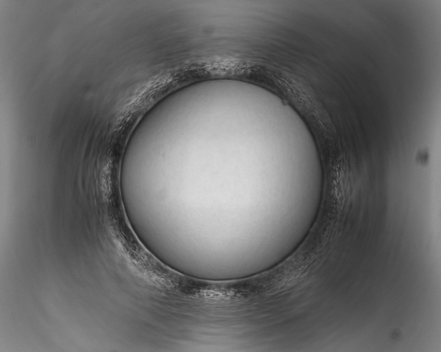 X0000115800690200911271251