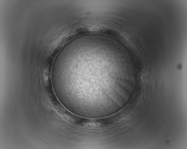 X0000115800691200911271251