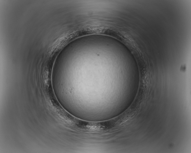 X0000115800693200911271251