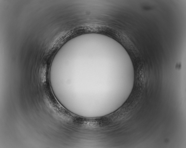 X0000115800694200911271251