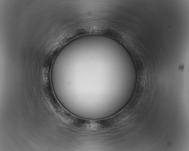 X0000115800695200911271251