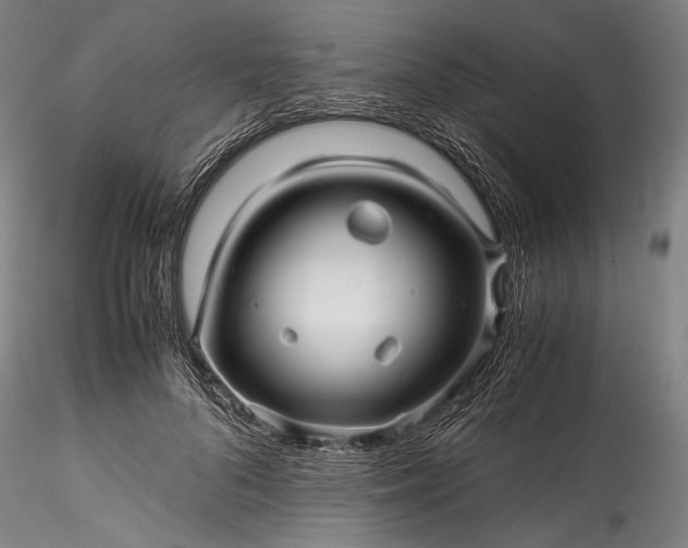 X0000115800696200911271251