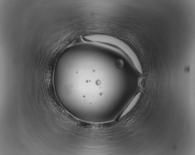 X0000115800697200911271251