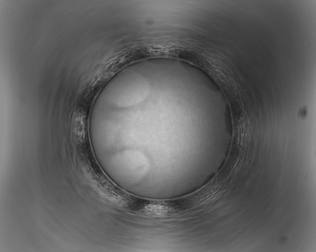 X0000115800699200911271251