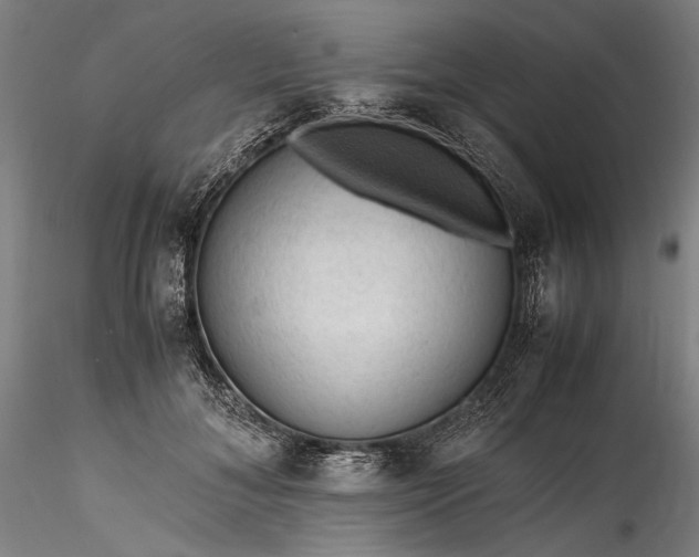 X0000115800700200911271251