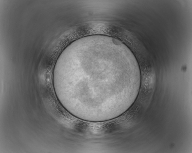 X0000115800701200911271251