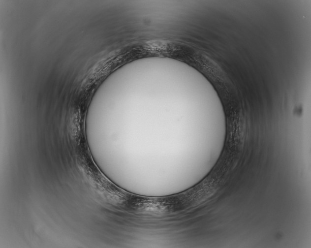 X0000115800702200911271251