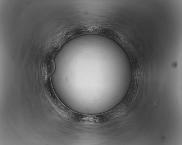 X0000115800703200911271251