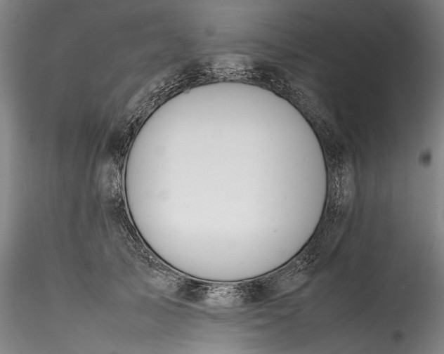 X0000115800705200911271251