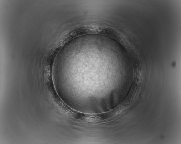 X0000115800707200911271251