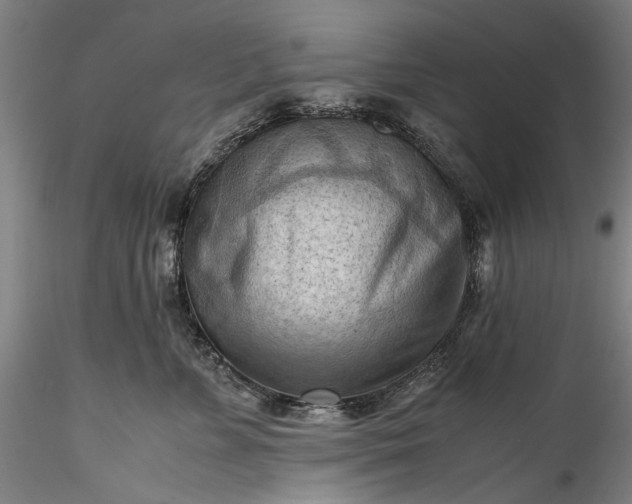 X0000115800715200911271250